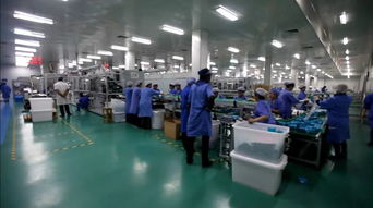 融会贯通 工厂车间6S管理与酒店管理的协同之道